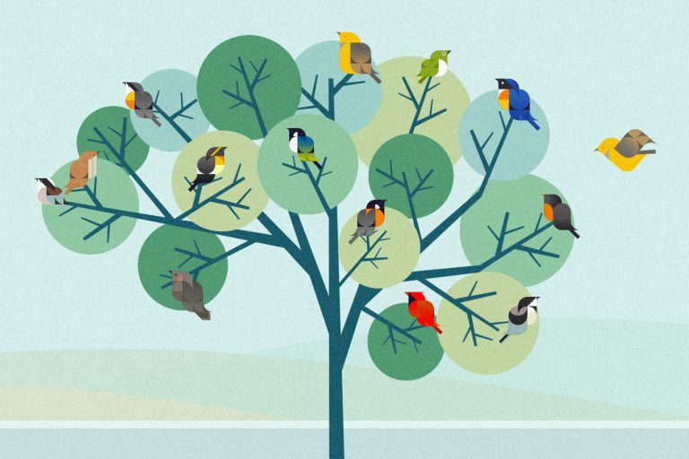 Diverse Teams Thrive With Four Elements of Belonging