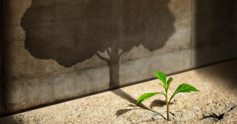 Develop your sustainability business strategy