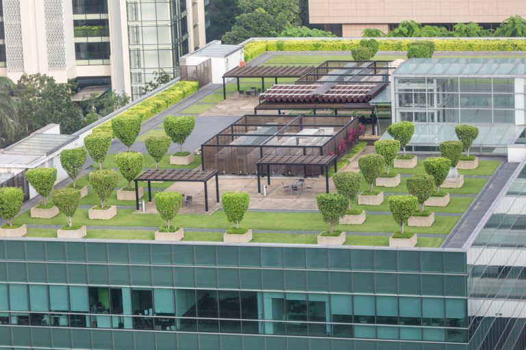 Advantages and Challenges of Green Roofs