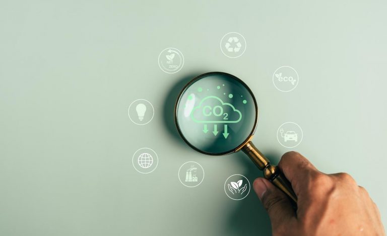 Why climate disclosure policy is critical to corporate sustainability