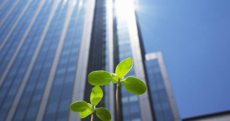 Sustainable building groups combine to accelerate change