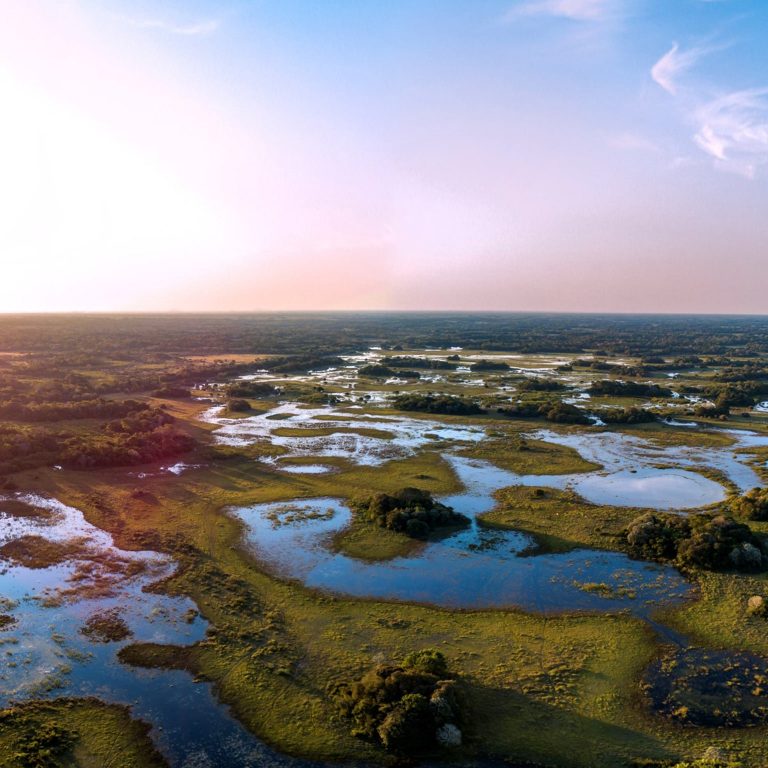 Nature-positive investments: Good for the planet and long-term value