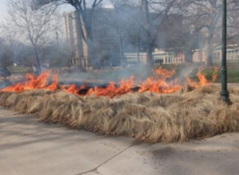 WIU Facilities Management Team Conducts Open Burns to Boost Campus Landscape