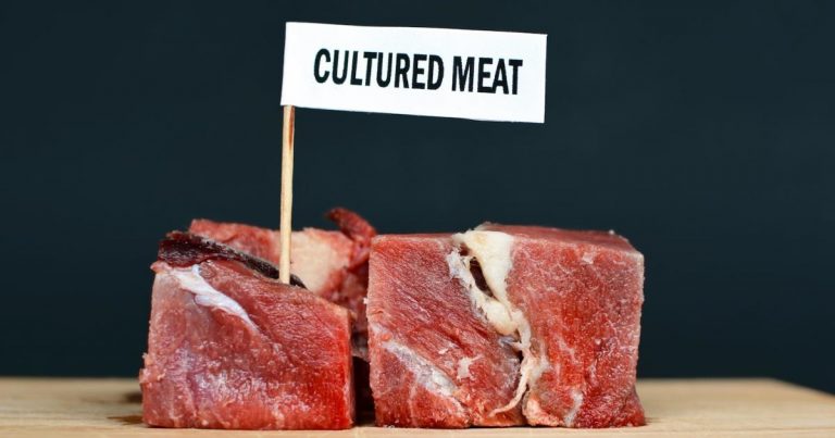 The week in climate policy: 4 updates you need to know