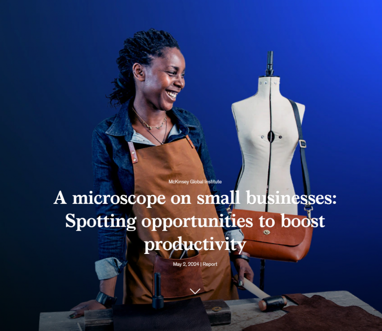 A microscope on small businesses: Spotting opportunities to boost productivity