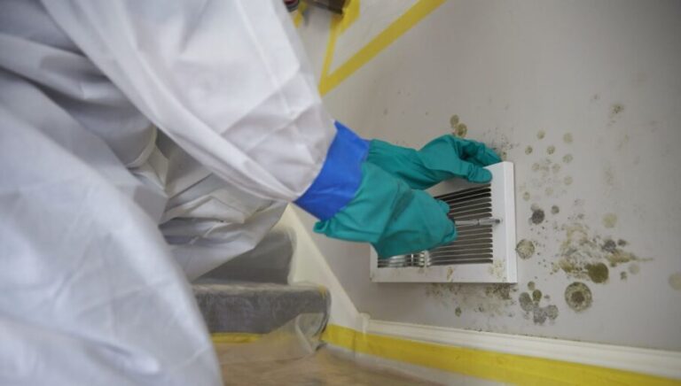 Managing moisture and mould