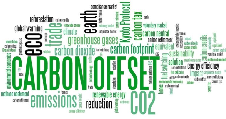 White House issues 7 new ‘principles’ to restore integrity to carbon markets