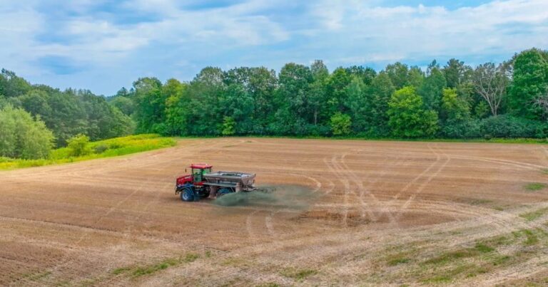 Salesforce commits $25 million to ‘steep learning curve’ of carbon removal