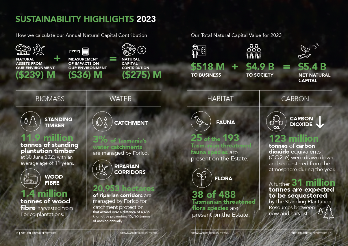 Forico nature balance sheet