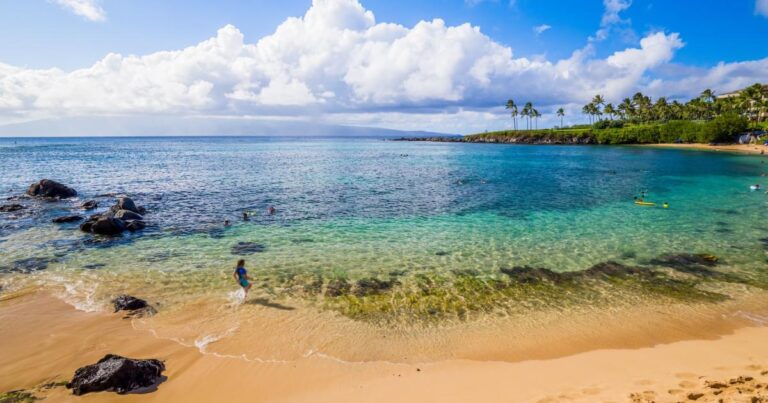 The Hawaii seabed mining ban doesn’t spell the end of EV batteries