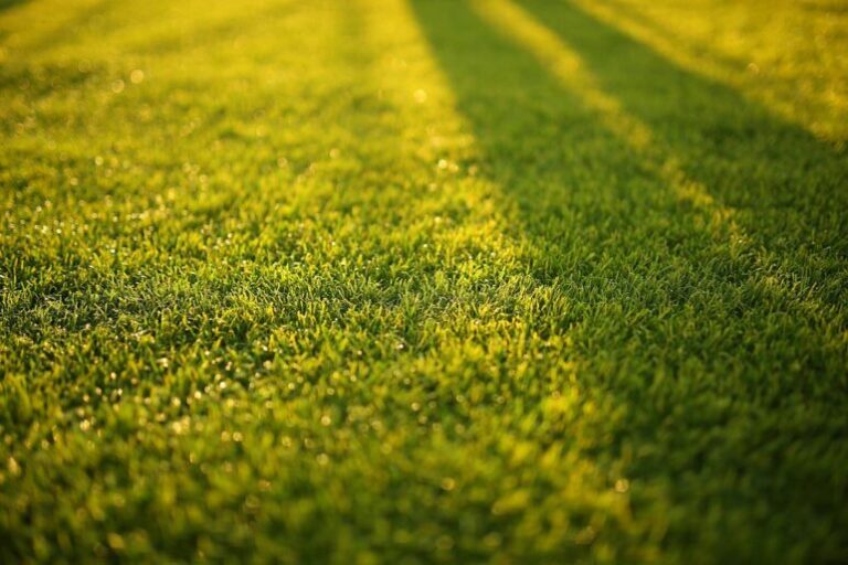 Seasonal, sustainable lawn maintenance for commercial properties