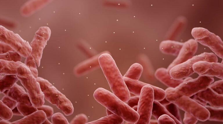 Controlling the Spread of Antimicrobial-Resistant Bacteria