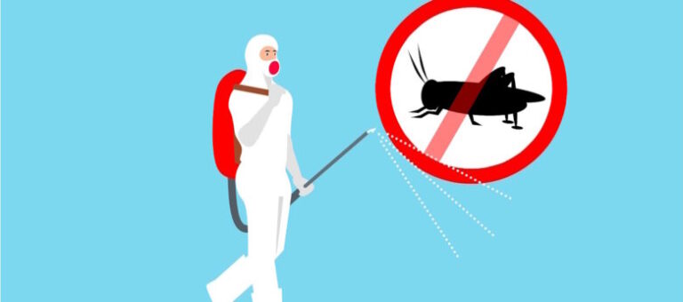 Commercial Facilities at Risk for Property Damage Caused by Termites