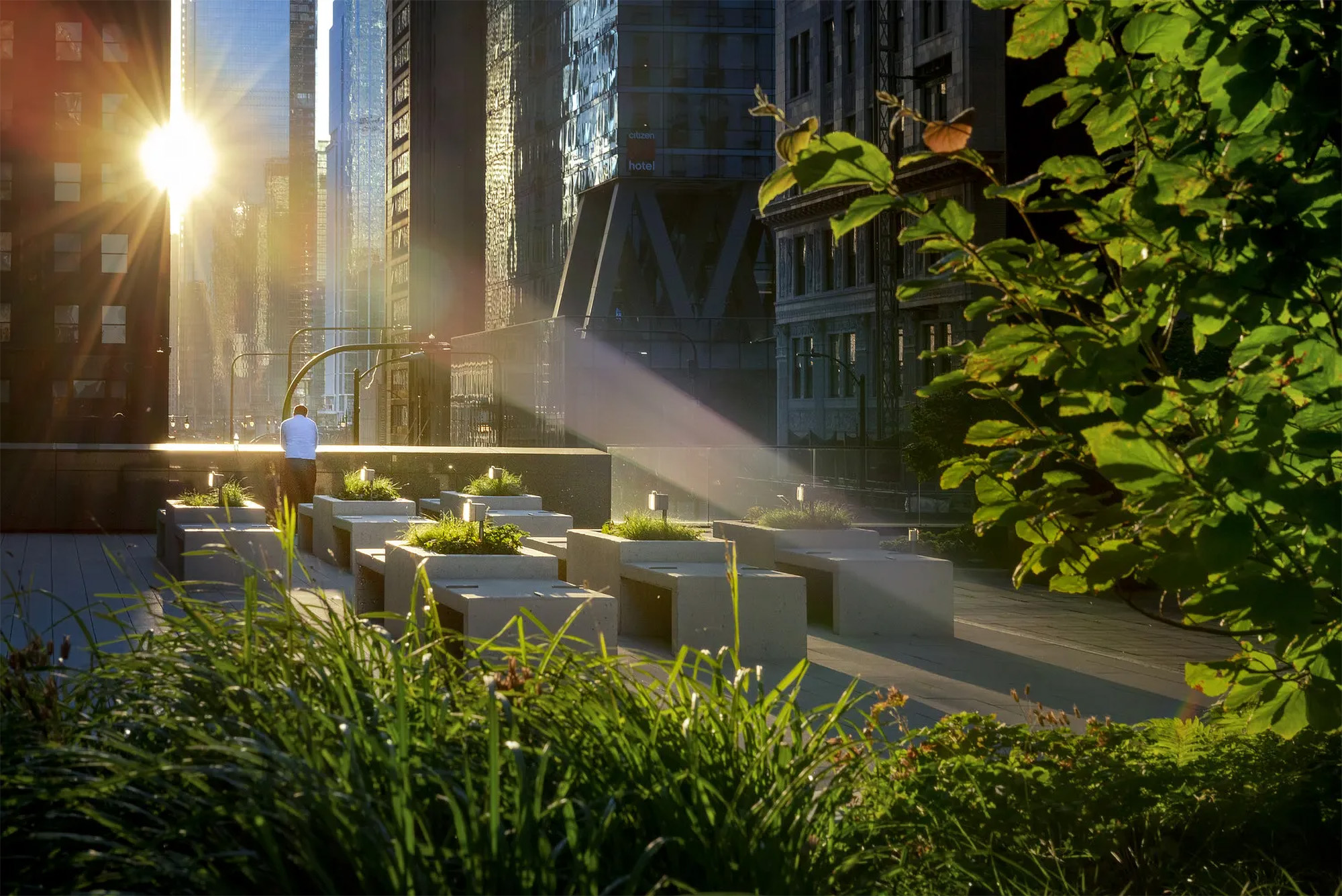 Rooftop green designed for shade