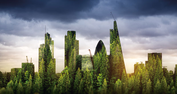 UK’s first cross-industry Net Zero Carbon Buildings Standard launches