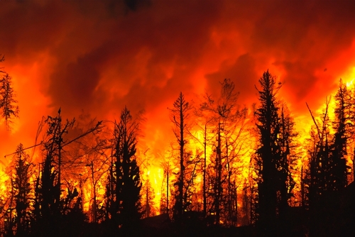 The Real Story of Wildfire Smoke and Why It Matters for Schools and Hospitals
