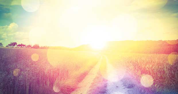 Consuming light
