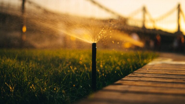 Improving your spring irrigation