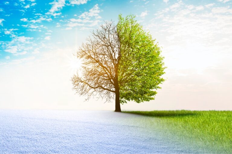 The Ultimate Checklist for Springtime Facility Maintenance