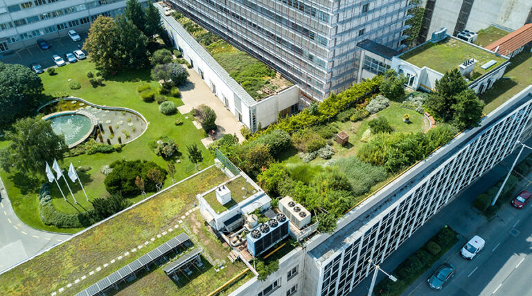 Ensuring Green Roofs Deliver