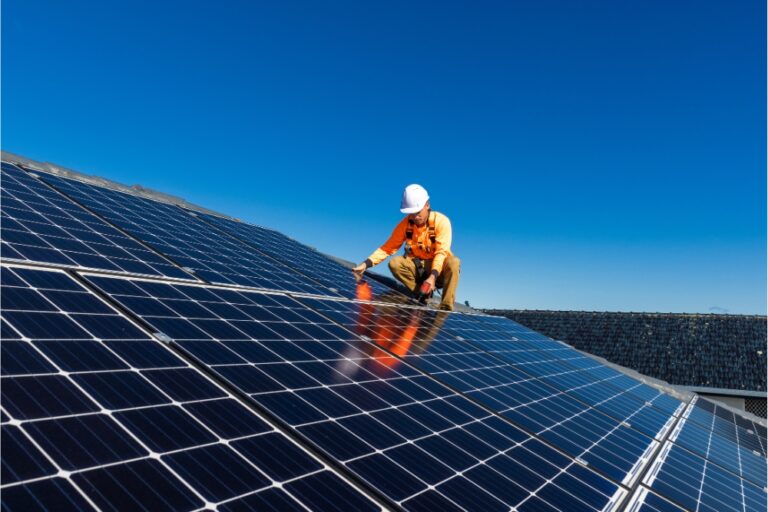 How Solar Can Optimize Costs and Sustainability for Food and Beverage Facilities